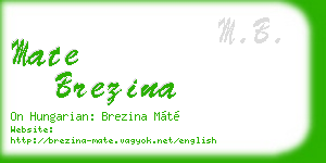 mate brezina business card